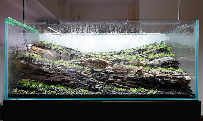 Aquascaping steps Color layers of the earth IAPLC 2024 - Kazuma Takeuchi / Japan